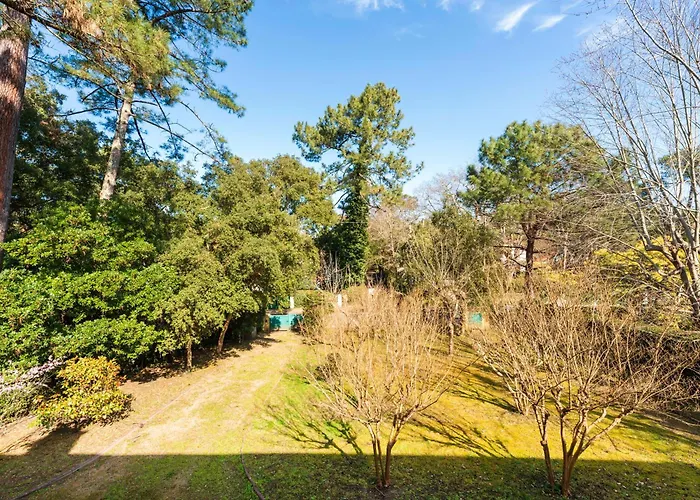 Eole - Plein Centre Hossegor 펜션 소르-호스고르